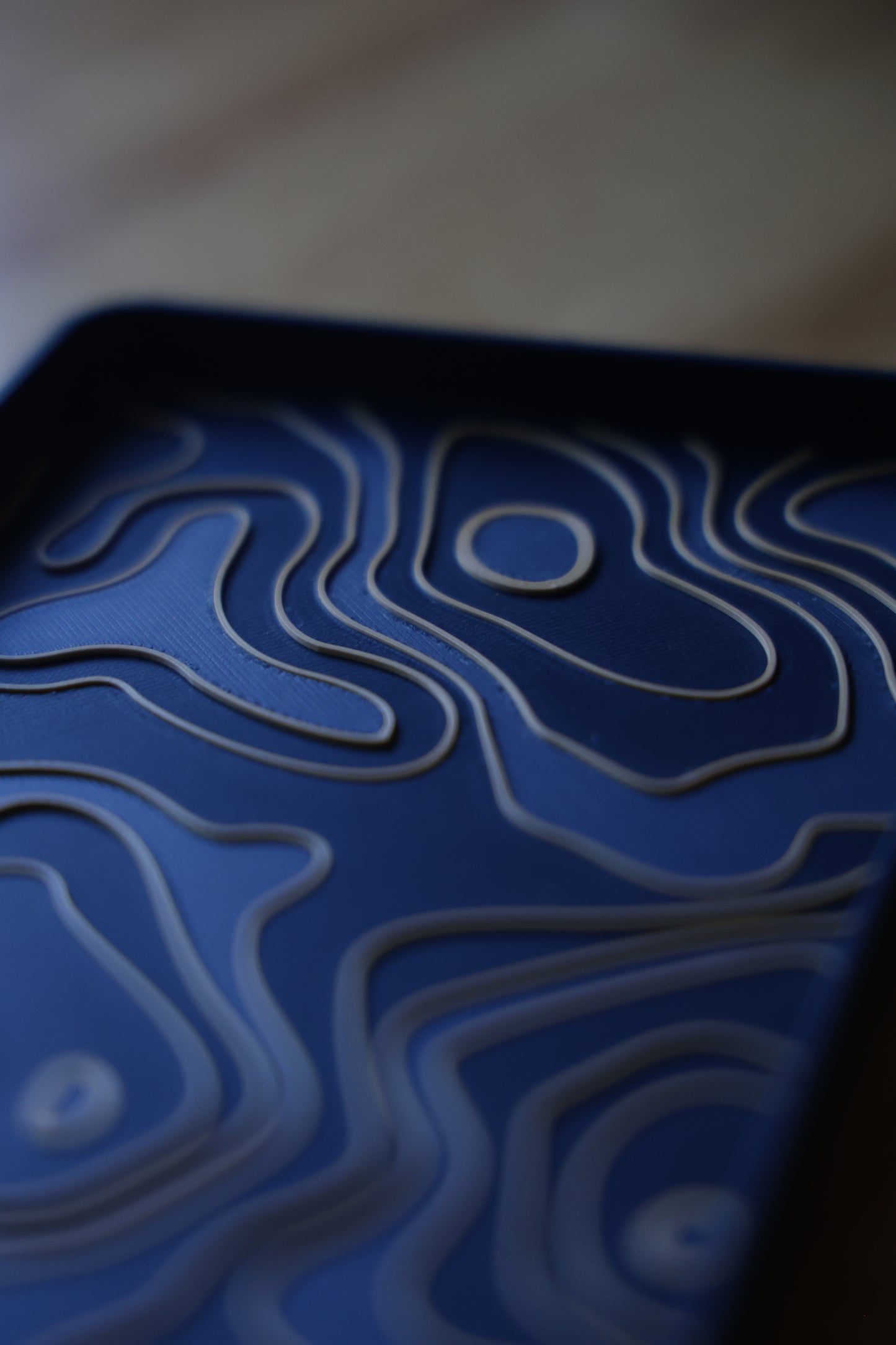 Topographical EDC Tray